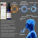 Pheromone Perfume Enhances Attraction To A Partner Boosts Women's